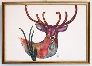 Colourful Deer