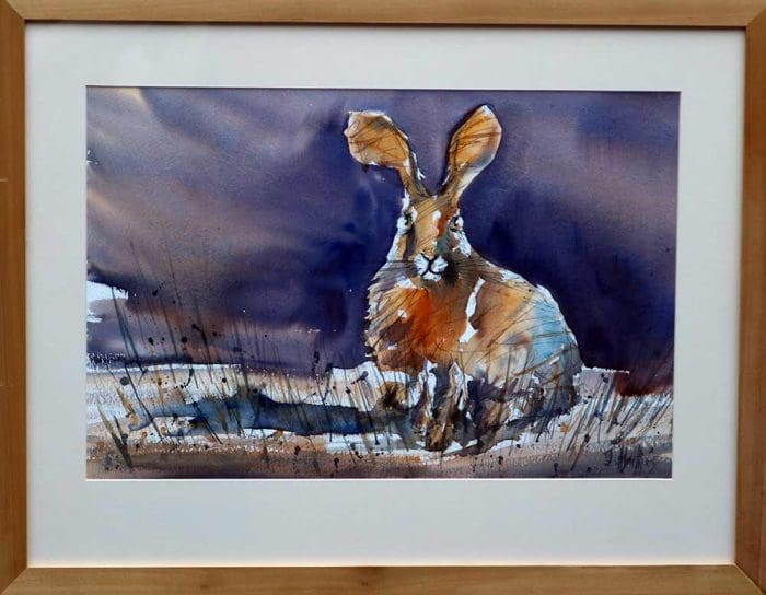 Hare