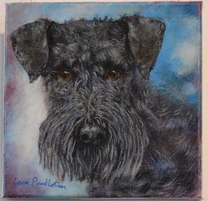 Kerry Blue Terrier