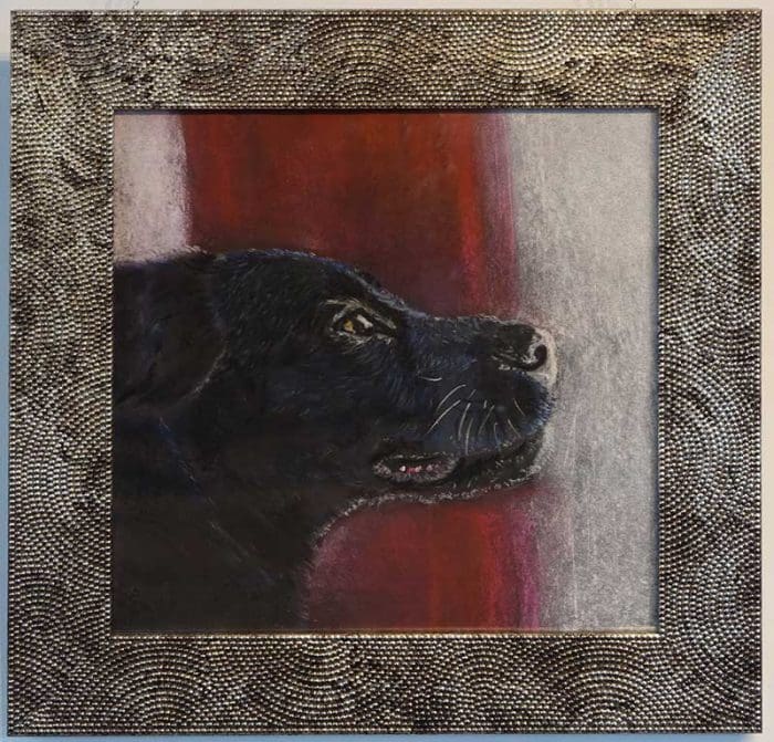 Labrador
