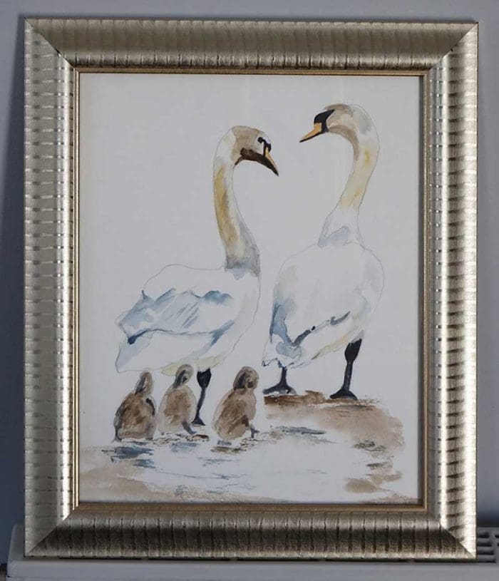 Swan Family