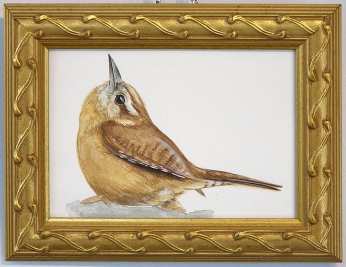 Wren