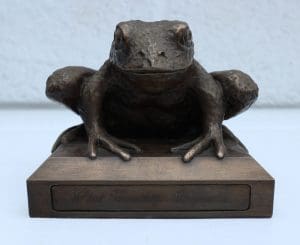 Top Toad