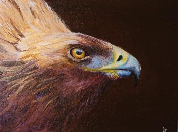 Eagle