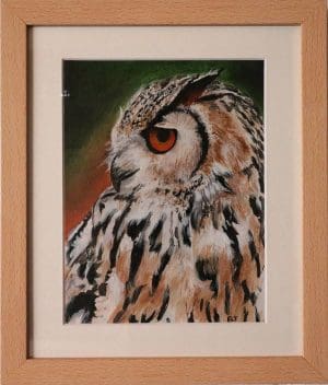 Owl