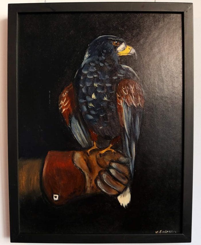 Falcon