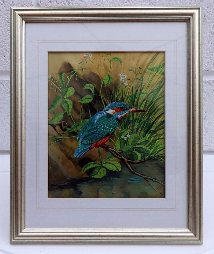 Kingfisher