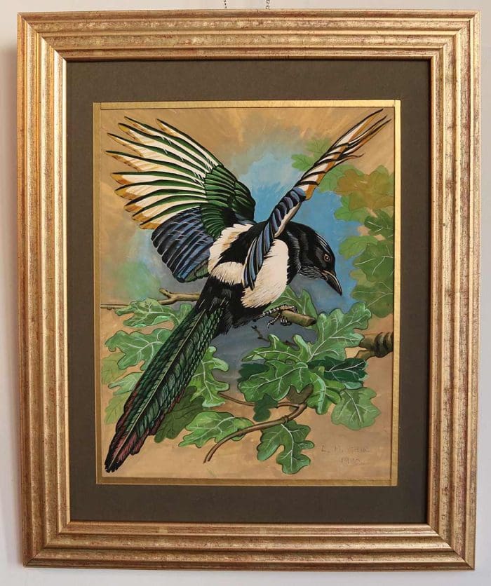 Magpie