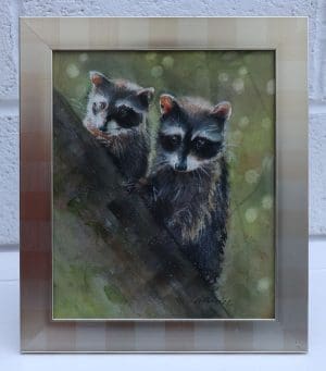 Racoons