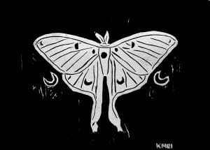 Moon Moth