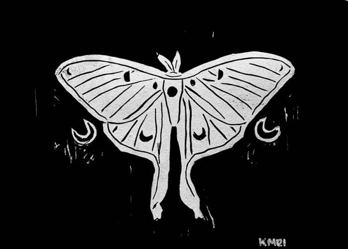 Moon Moth