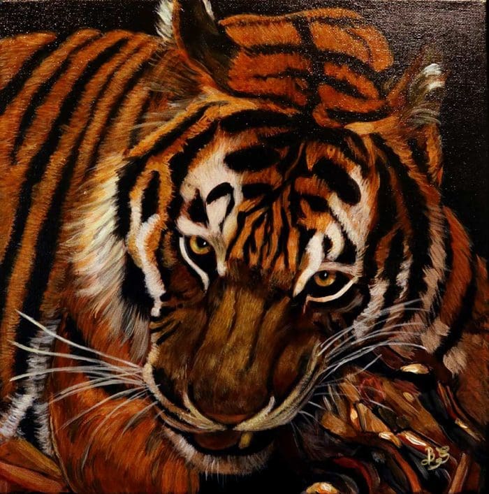 Tiger