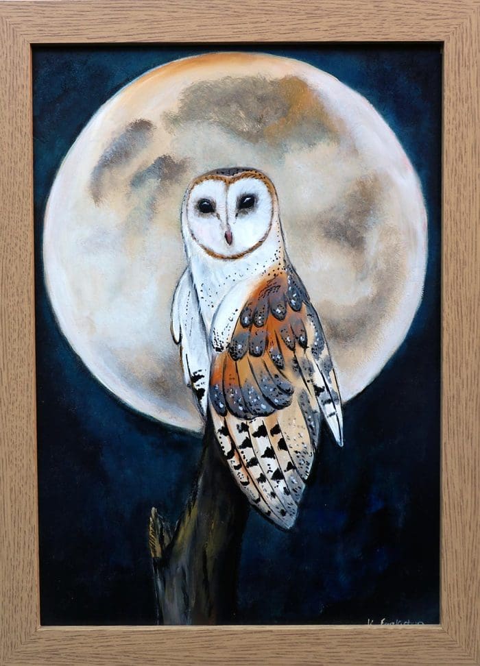 Barn Owl