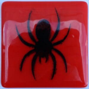 Red Spider Coaster