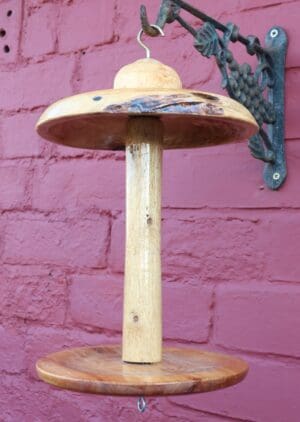 Bird Feeder with Hook