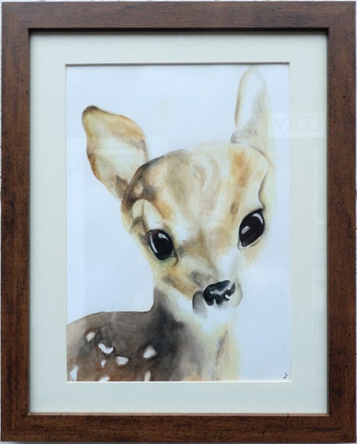 Fawn