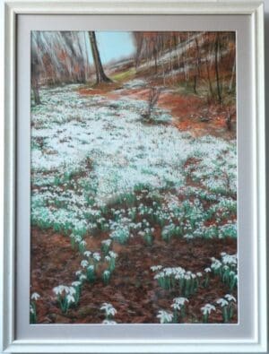 Snowdrops Everywhere