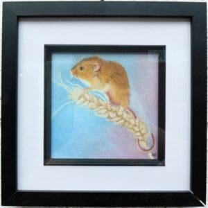 Harvest Mouse
