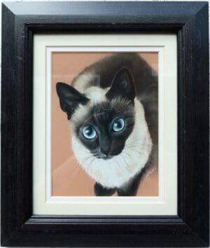 Siamese Cat