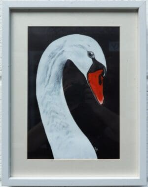 Swan Head