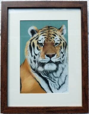 Tiger Portrait