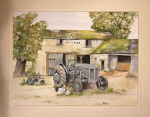 'Old Grey Fergie' T20