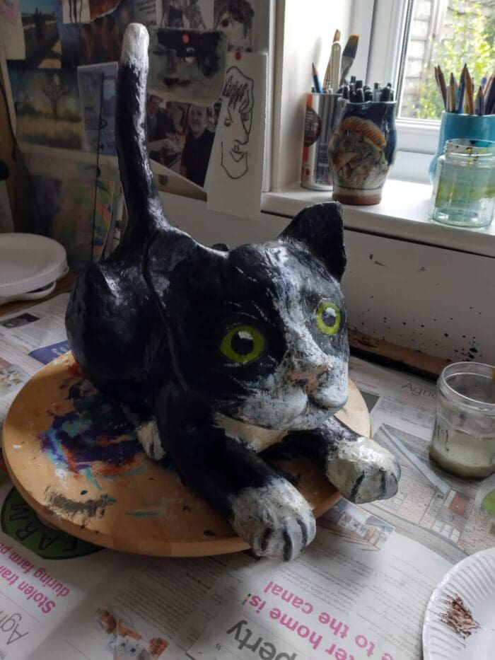 Black & White cat