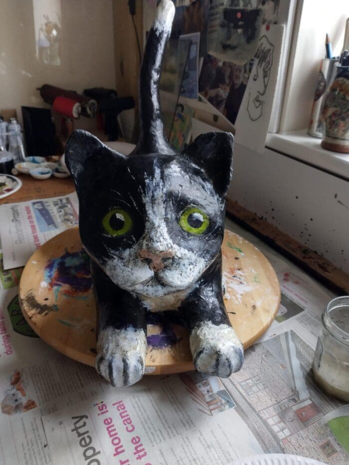 Black & White cat - Image 2