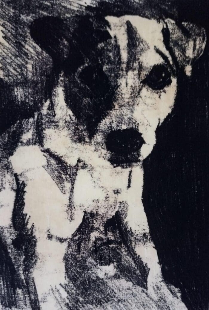 Jack Russell