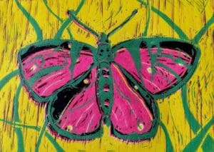 Pink butterfly