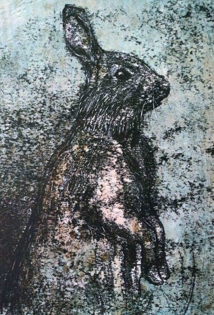 Rabbit