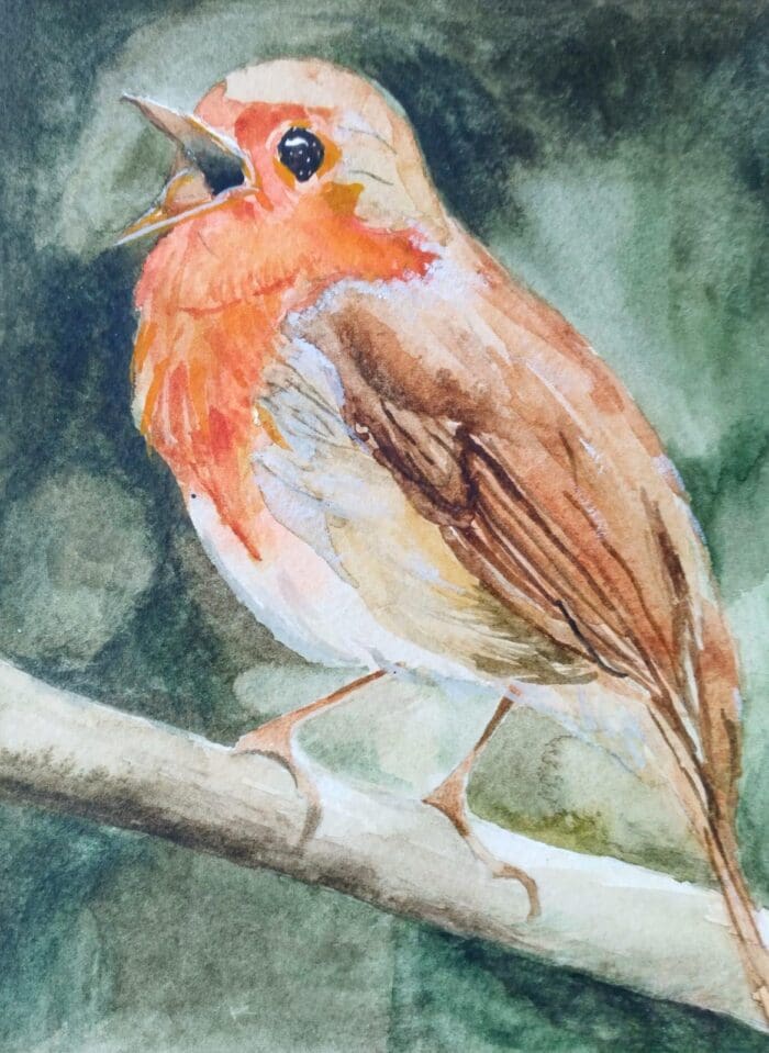Robin