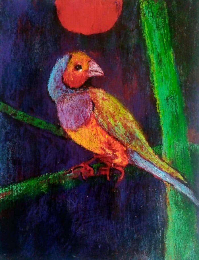 Small parrot