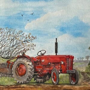 Countryside Collection - Sue Podbery