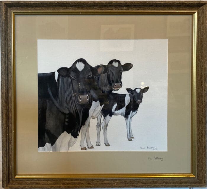 Friesians