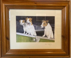 Jack Russels