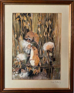 Harvest Mice