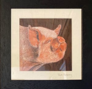 Pig Portrait