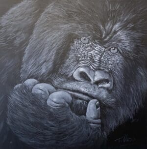 Contemplation Gorilla