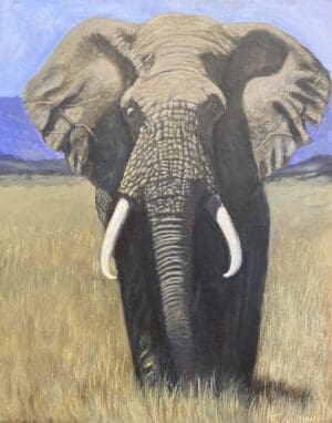 Elephant