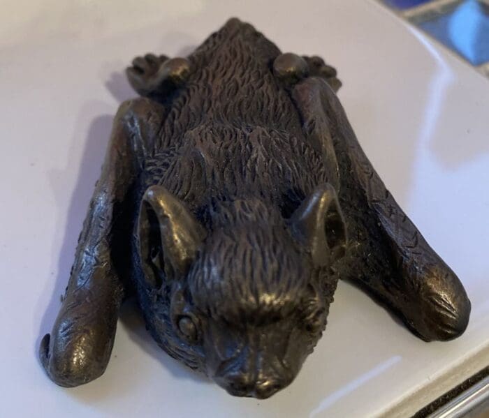 Pipistrelle Bat
