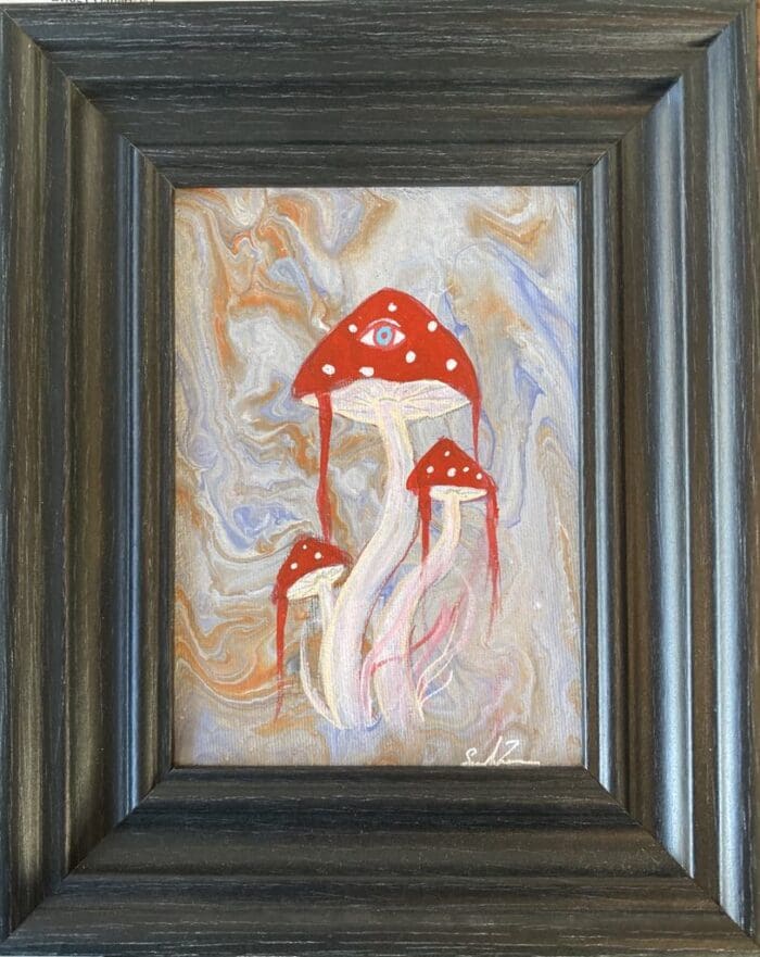 Shroom Visions