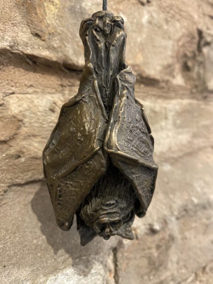 Vampire bat