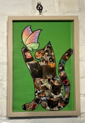 Cat & Butterfly