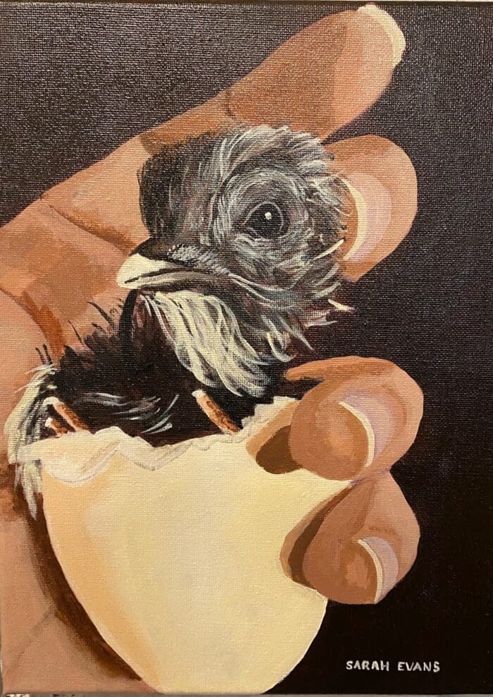 Chick in hand