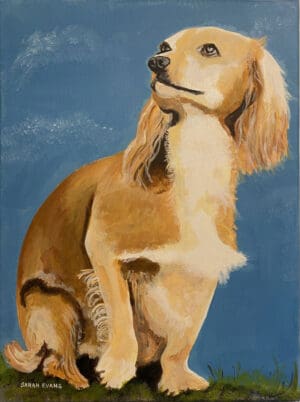 Dog