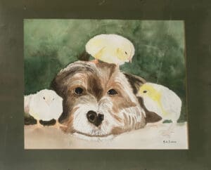 Dog and chicks