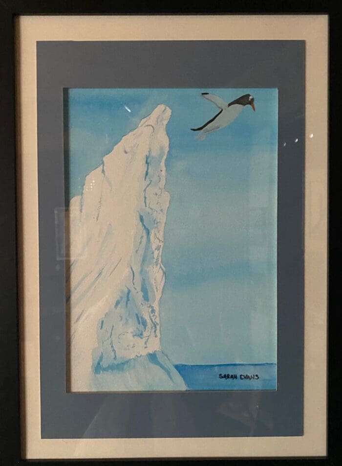 Penguin dive
