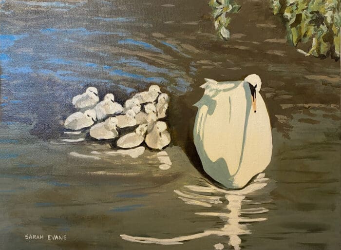 Swan family