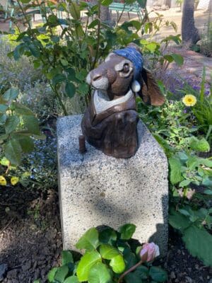 Hare with the pearl earring
